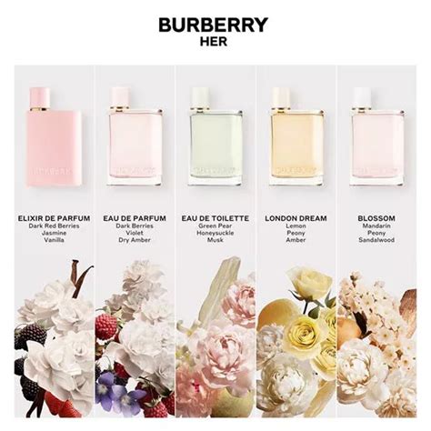 burberry dust mask|burberry her fragrance.